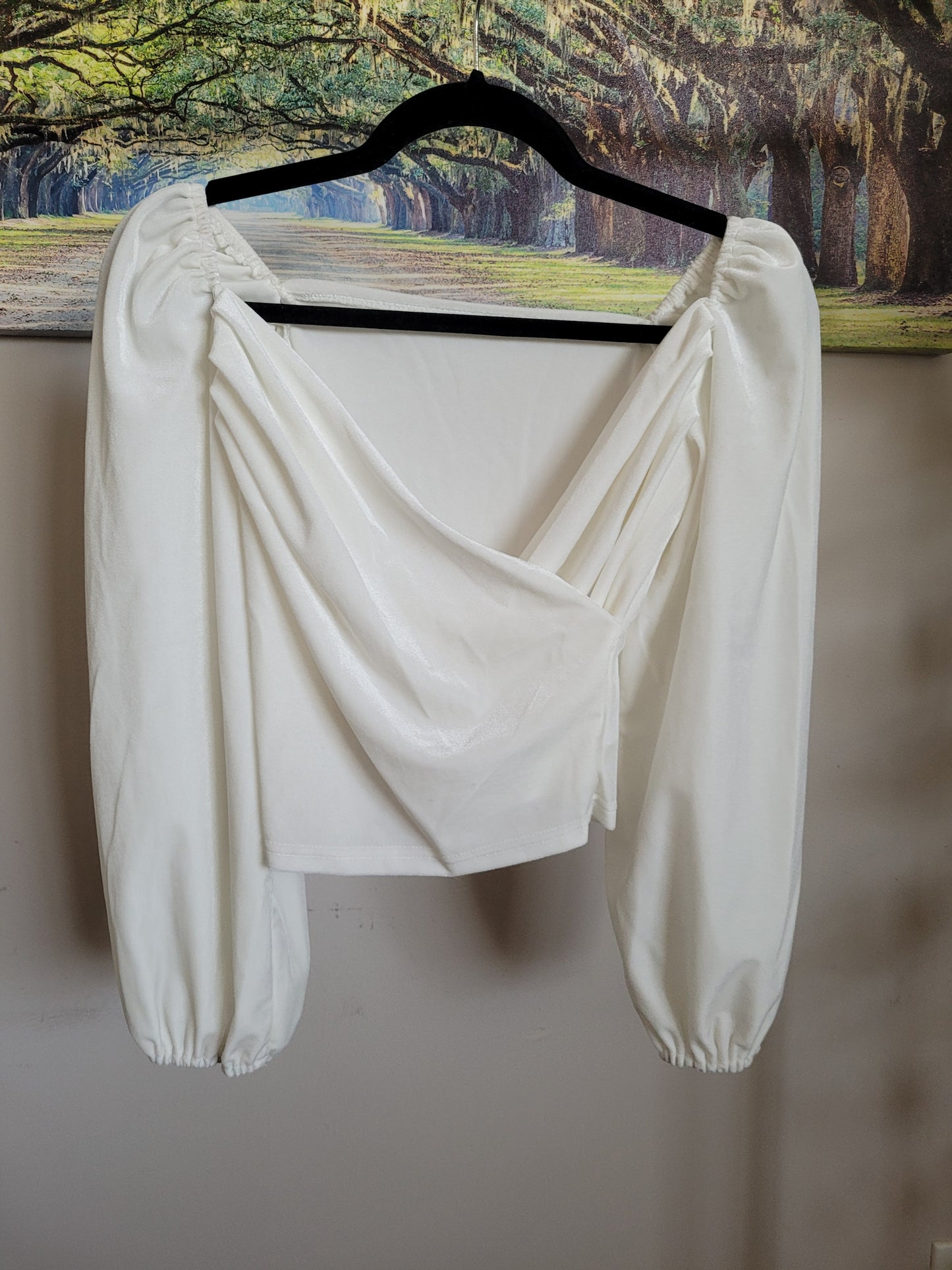 White Velvet Blouse