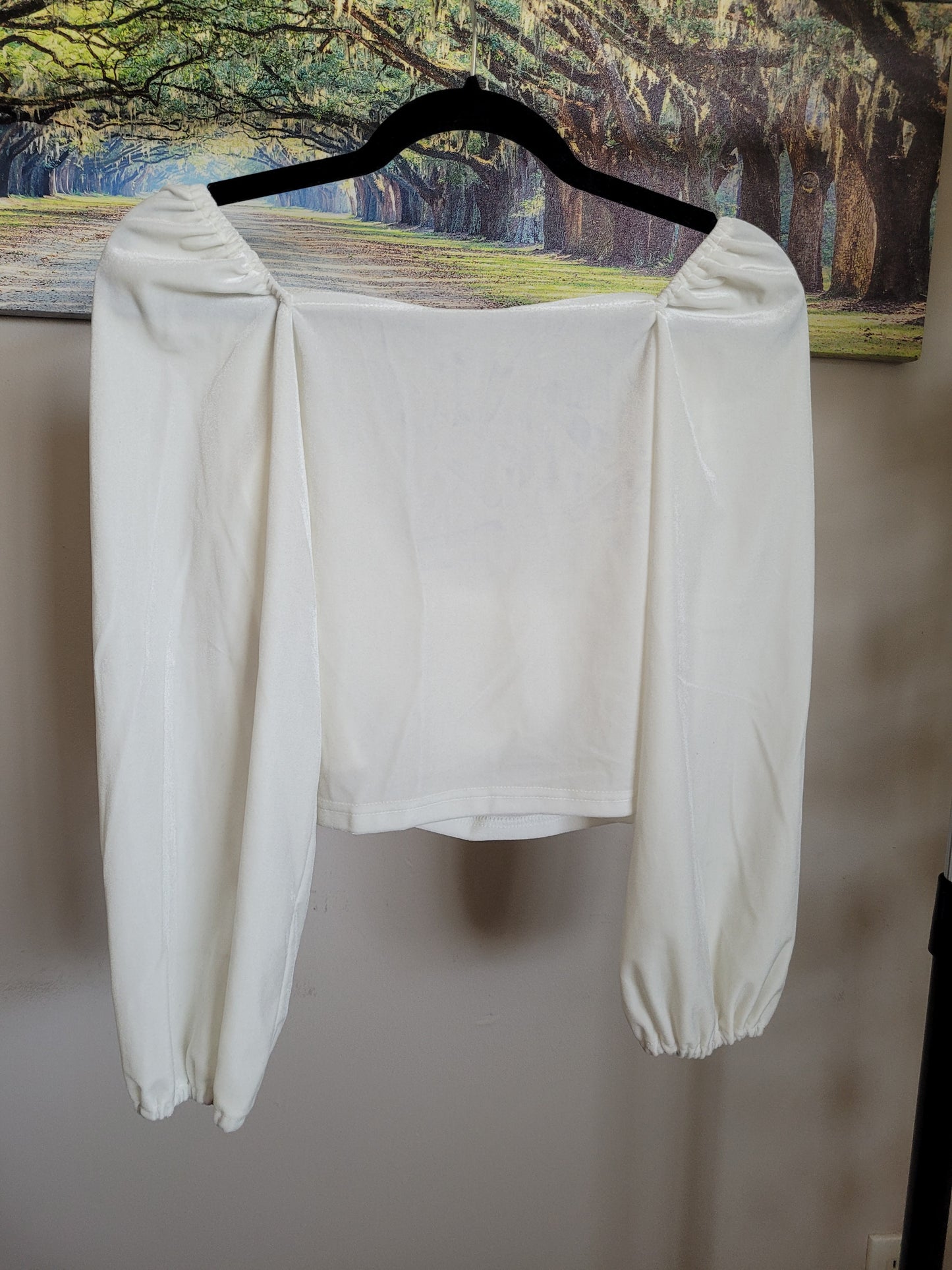 White Velvet Blouse