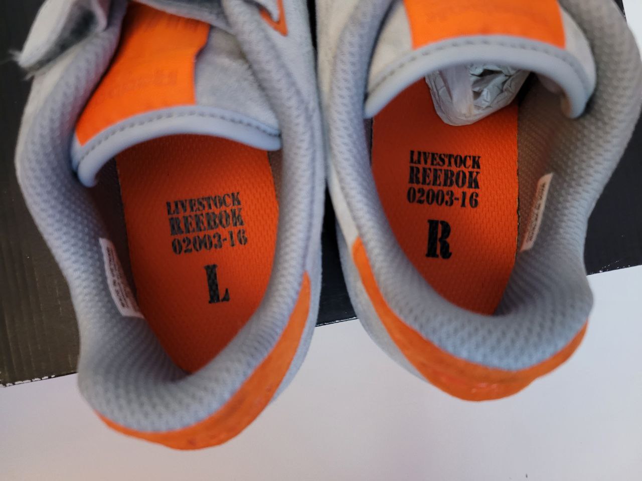 Velcro Shoe