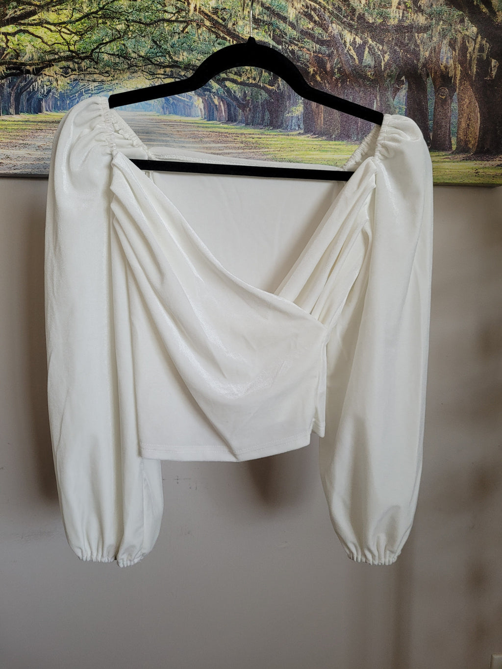 White Velvet Blouse